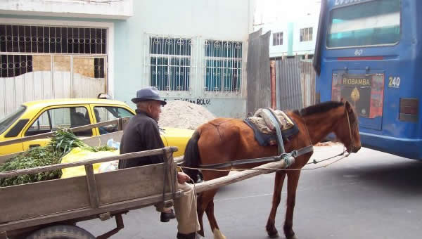 A man travels a street in Cuenca with his horse-drawn wagon.